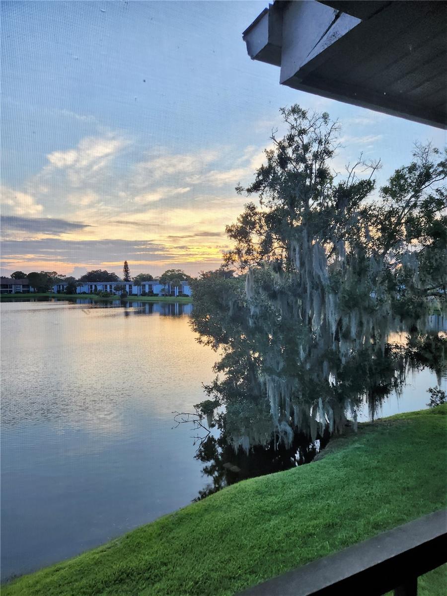 Photo of 270 WOODLAKE WYNDE OLDSMAR FL 34677