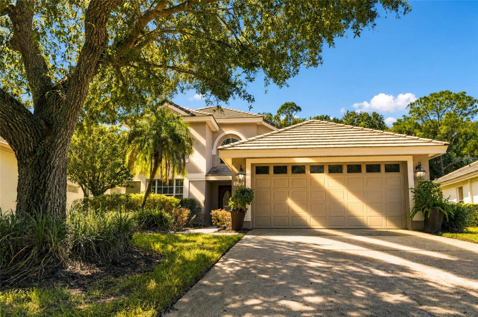 Photo of 17704 NATHANS DRIVE TAMPA FL 33647