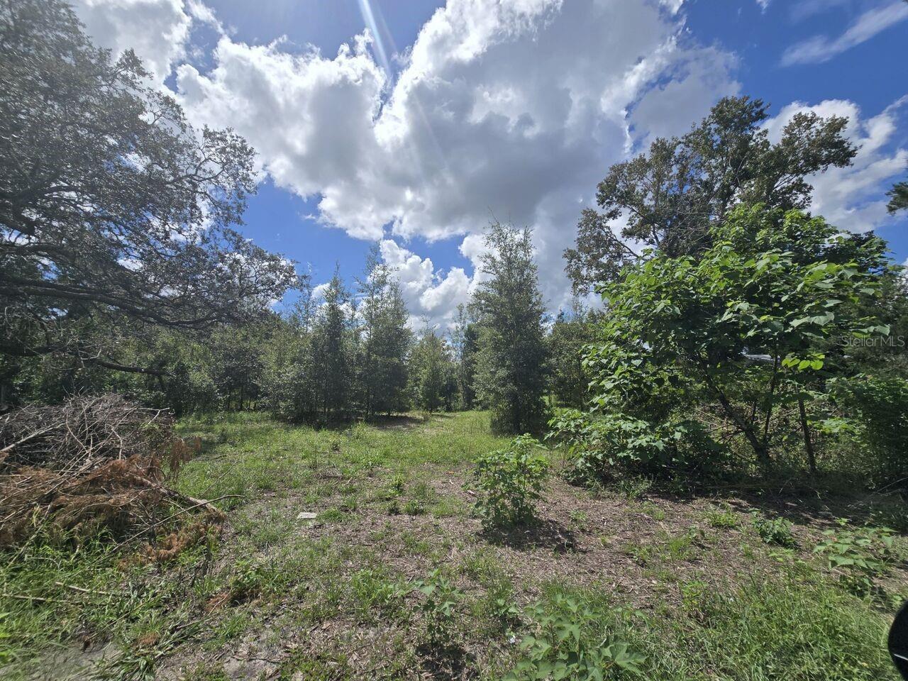 Photo of ST. PAUL DR SPRING HILL FL 34610