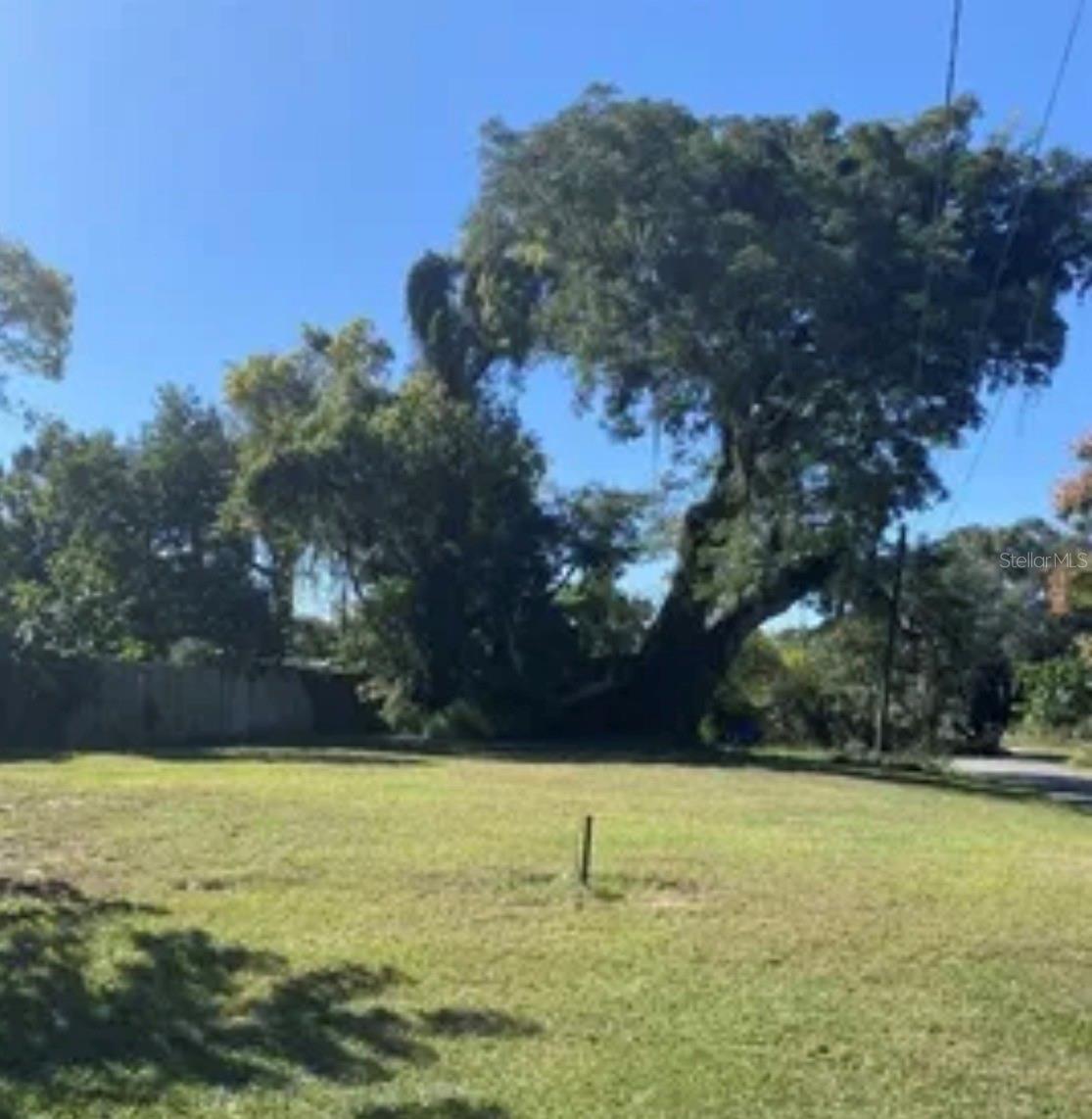 Photo of 1168 OLD APOPKA ROAD APOPKA FL 32703
