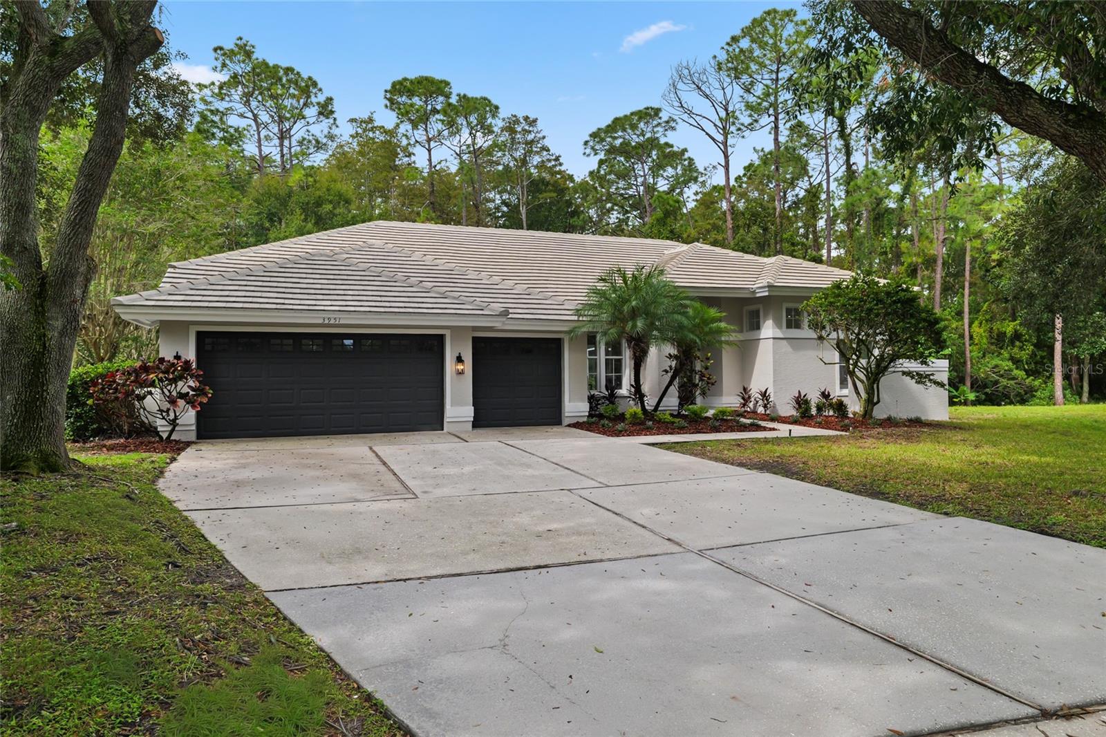 Photo of 3951 BRIGHTSIDE LANE PALM HARBOR FL 34685