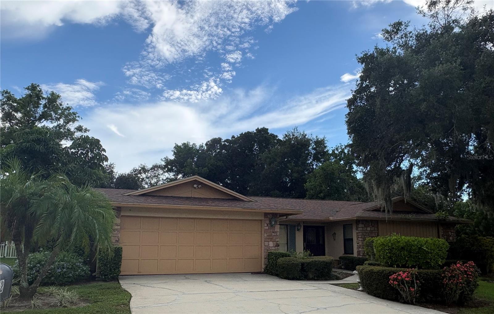 Photo of 862 PINEWOOD TERRACE PALM HARBOR FL 34683