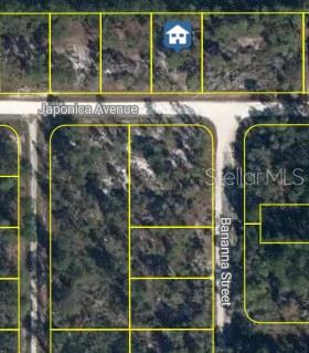 Photo of 3021 JAPONICA AVENUE LAKE PLACID FL 33852