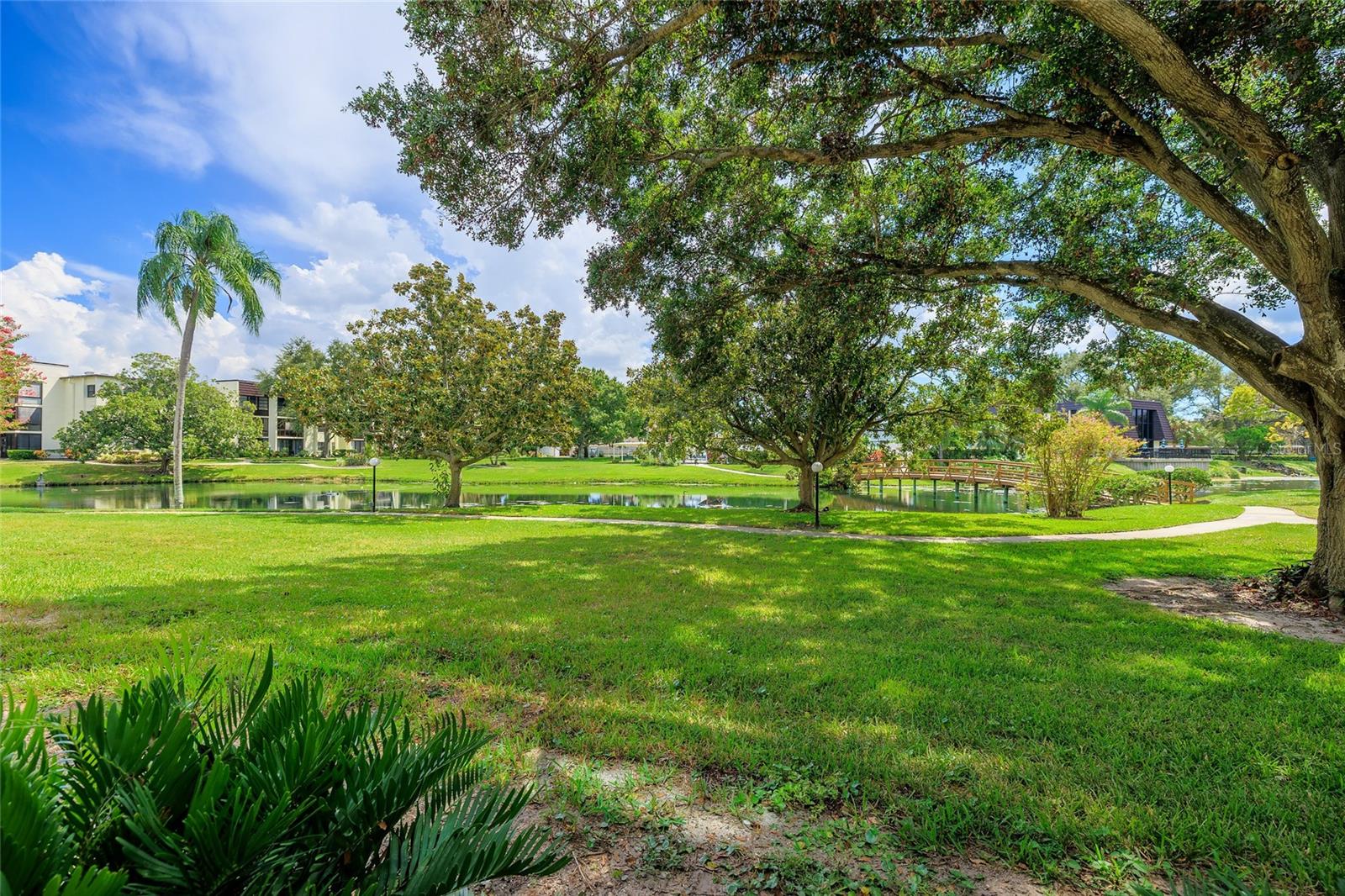 Photo of 14130 ROSEMARY LANE #3115 LARGO FL 33774