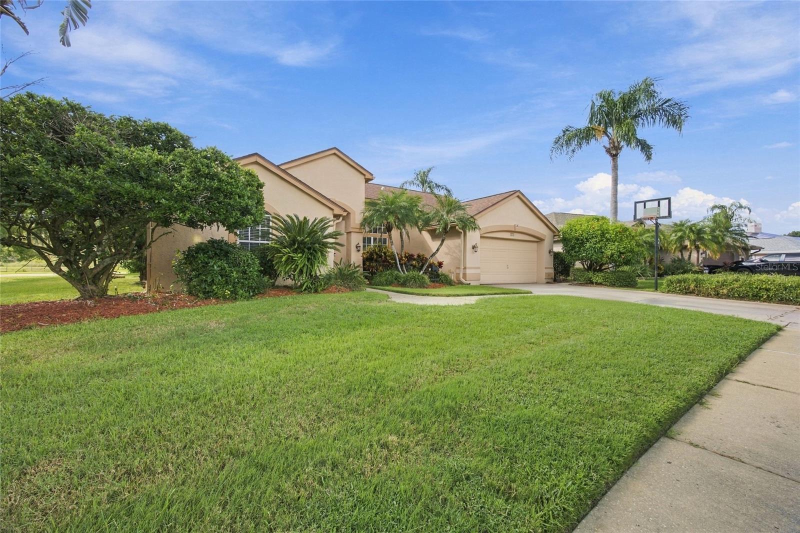 Photo of 878 CENTERWOOD DRIVE TARPON SPRINGS FL 34688