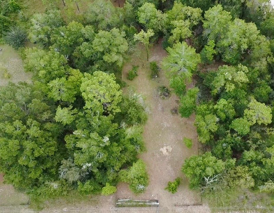 Photo of 4717 NE 141ST AVENUE WILLISTON FL 32696