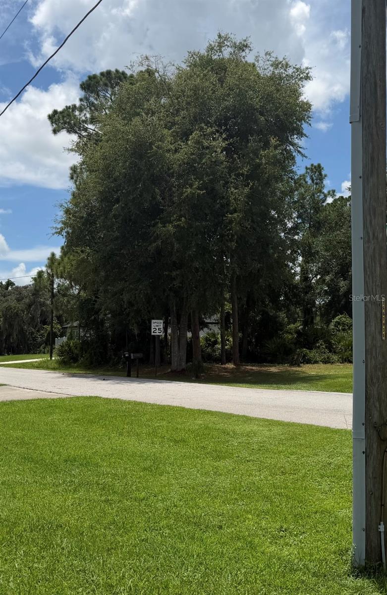 Photo of 513 VOLVO AVENUE SEBRING FL 33872