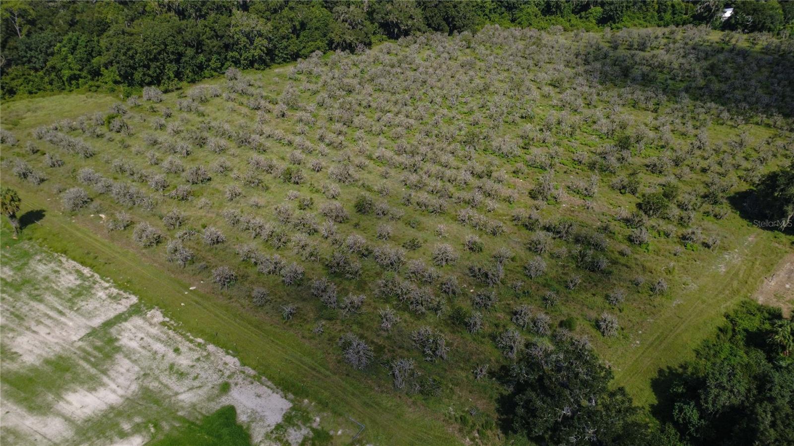 Photo of HOLLY HAMMOCK ROAD DE LEON SPRINGS FL 32130