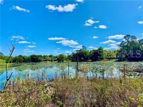 Photo of 125 MATANZAS ROAD DEBARY FL 32713