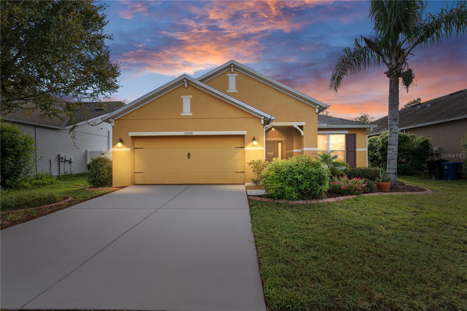 Photo of 23036 WOOD VIOLET COURT LAND O LAKES FL 34639