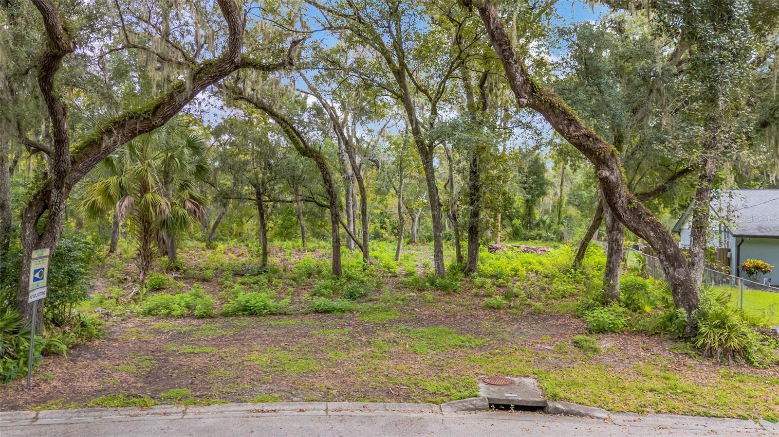 Photo of 11731 GAIL DRIVE TEMPLE TERRACE FL 33617