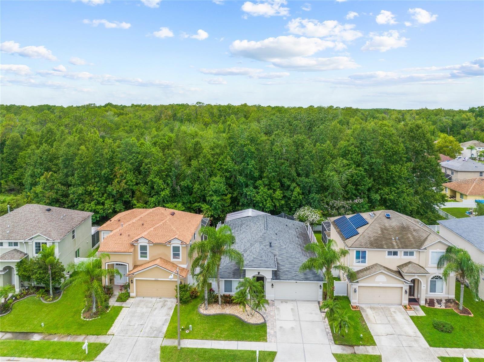 Photo of 25354 GEDDY DRIVE LAND O LAKES FL 34639