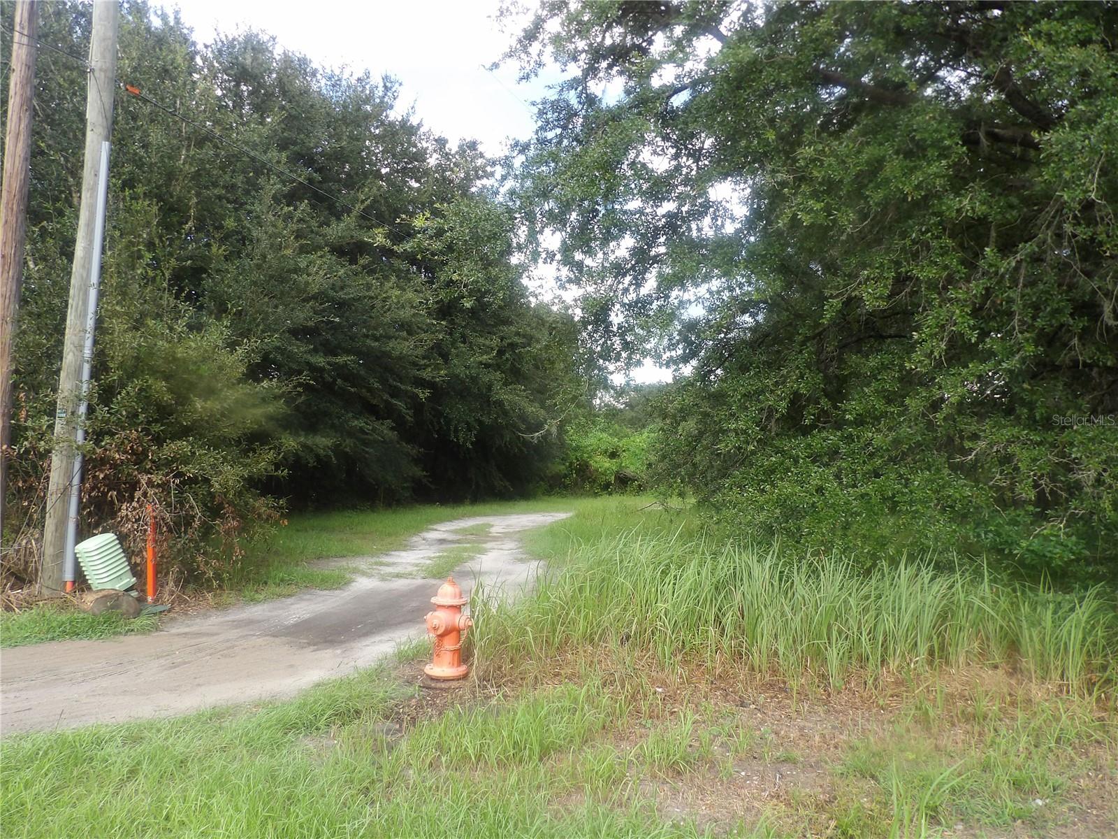 Photo of CAIN MULBERRY FL 33860