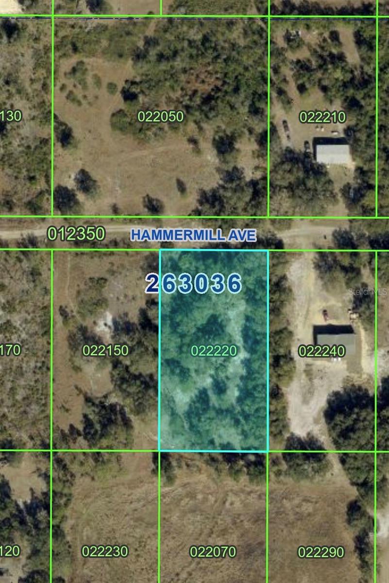 Photo of HAMMERMILL AVENUE LAKE WALES FL 33859