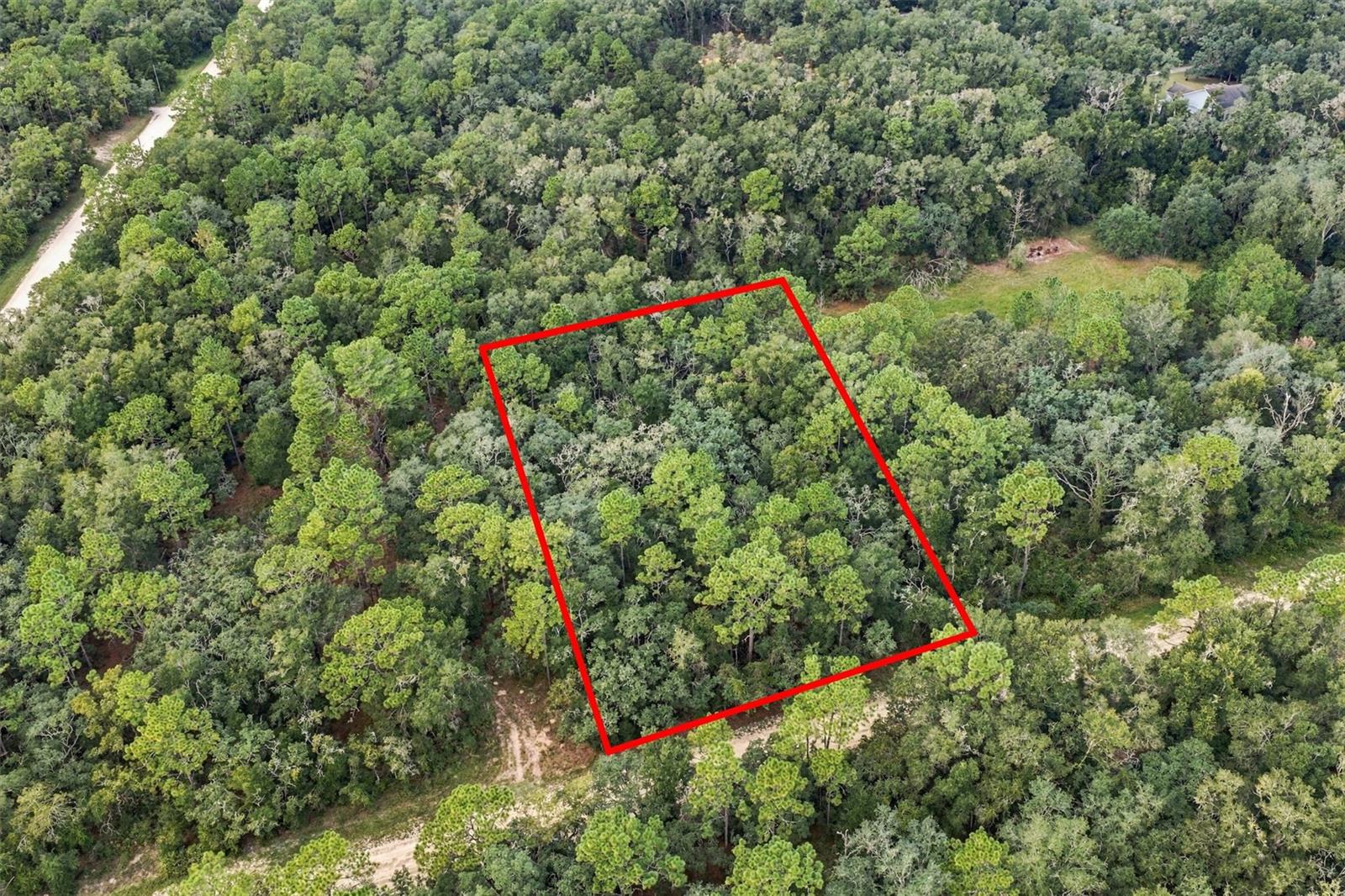 Photo of ELAINE DRIVE WEBSTER FL 33597