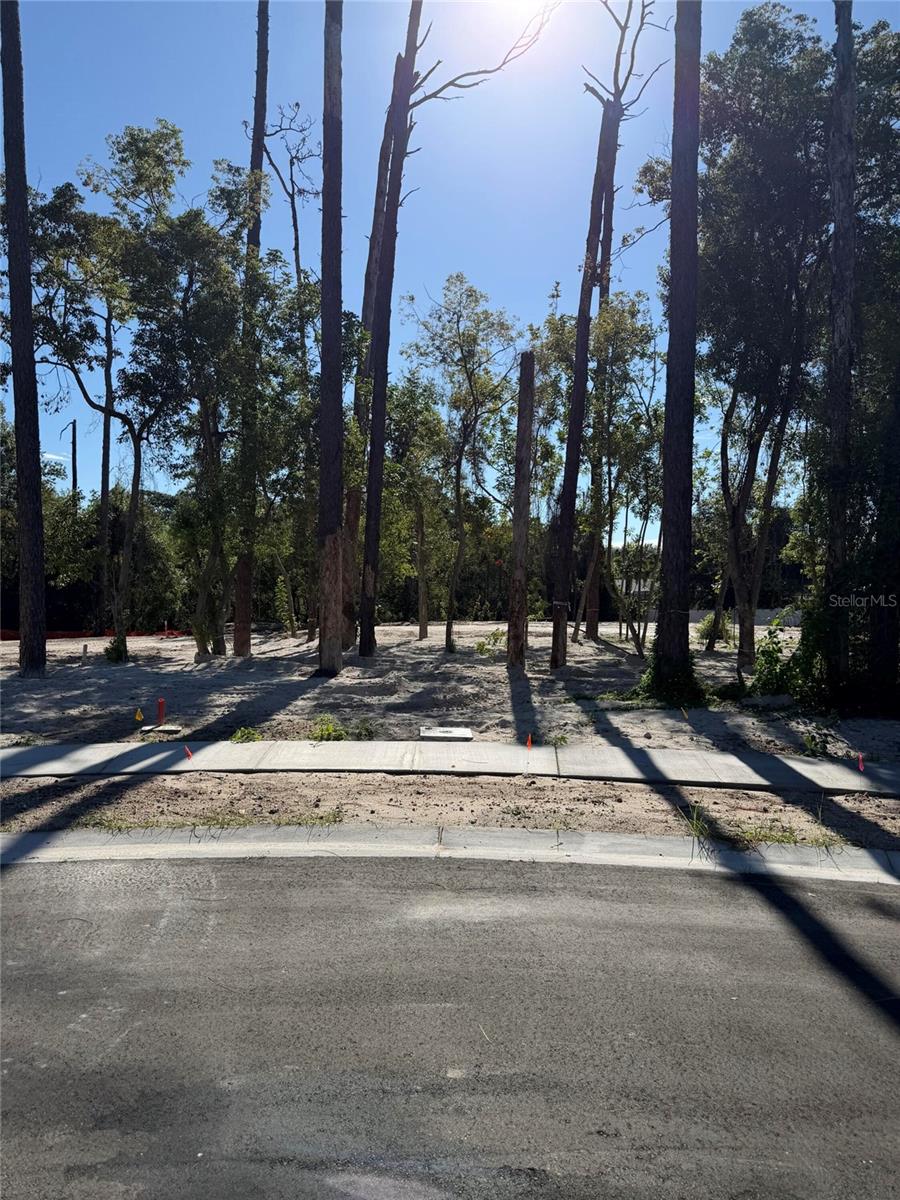 Photo of 1302 ALMARIA COURT PALM HARBOR FL 34683