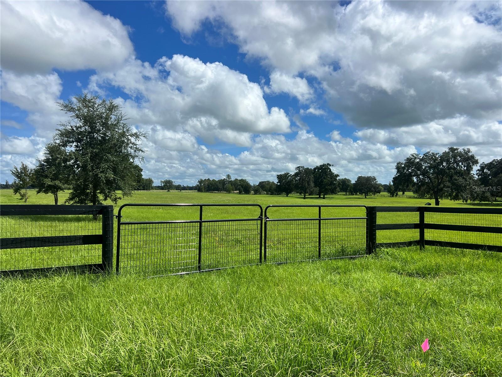 Photo of TBD NW 464B HIGHWAY MORRISTON FL 32668