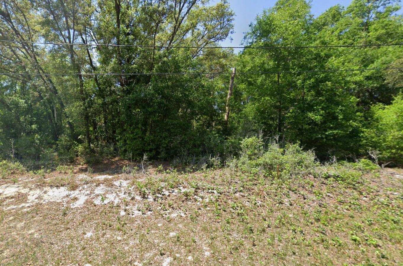 Photo of GUAVA PASS LANE OCKLAWAHA FL 32179