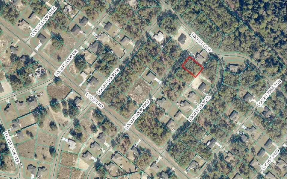 Photo of LOCUS LOOP PASS OCKLAWAHA FL 32179