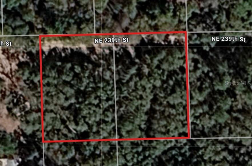 Photo of Lot 18 & 19 NE 239TH STREET FORT MC COY FL 32134