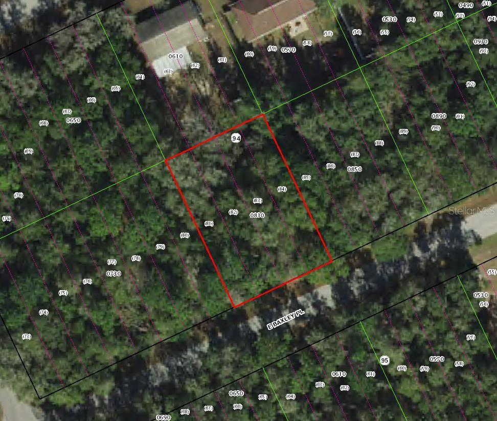 Photo of 3551 E BAXLEY PLACE INVERNESS FL 34453