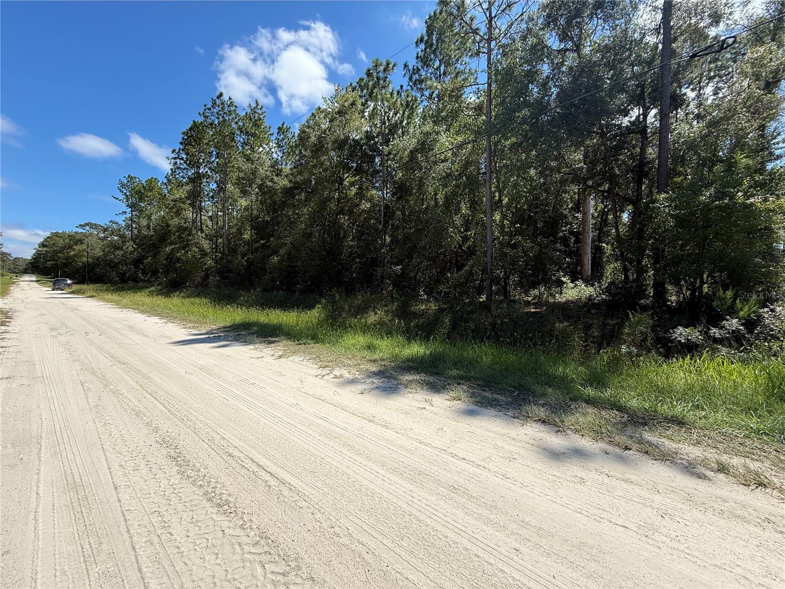 Photo of TBD SW 53RD STREET DUNNELLON FL 34432