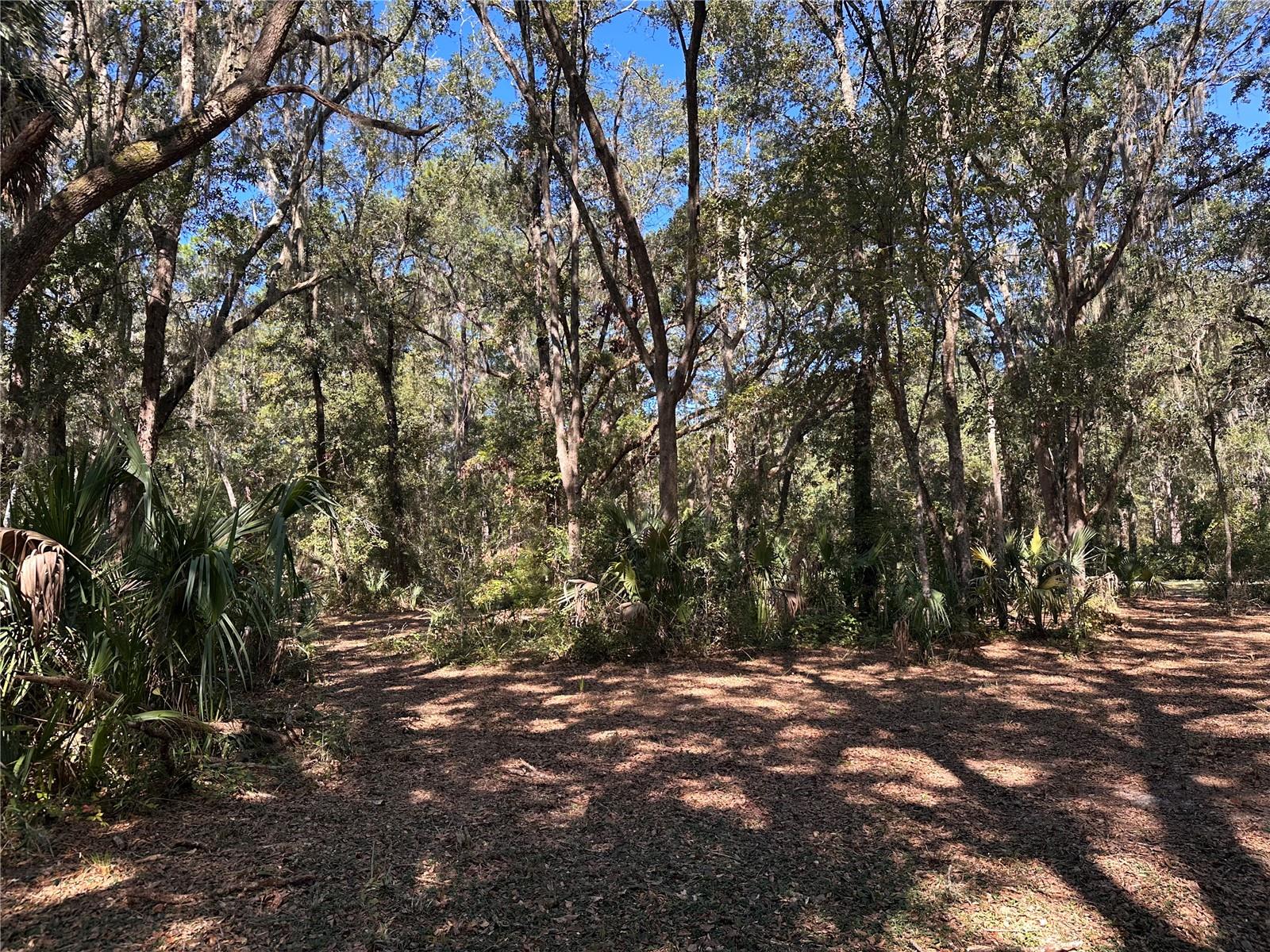 Photo of 11660 NE 225TH STREET FORT MC COY FL 32134