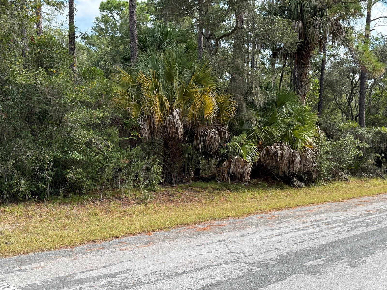 Photo of 8941 N STAR BLAZE DRIVE #2 CRYSTAL RIVER FL 34428