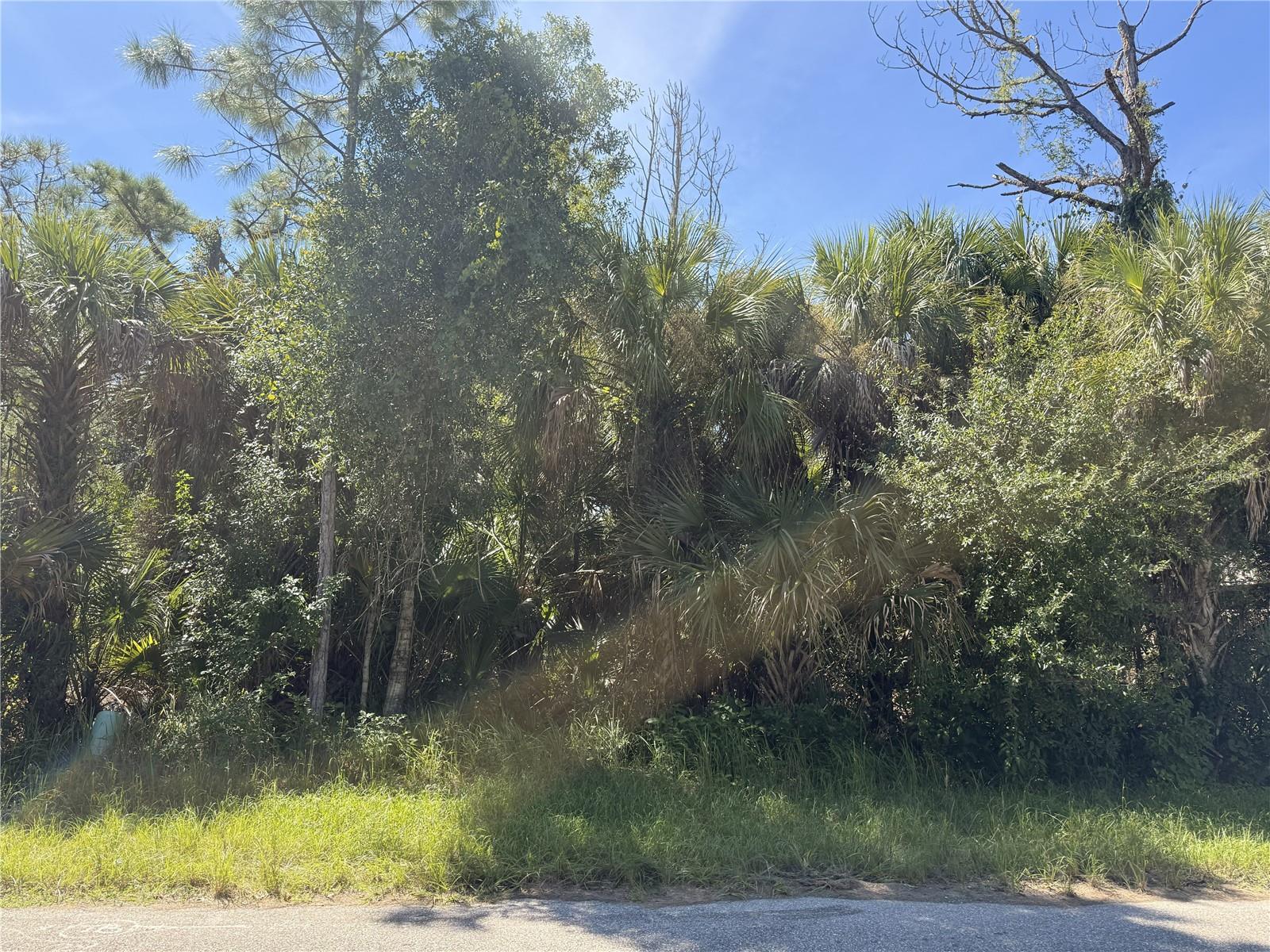 Photo of LOT 15 WALMSLEY AVE AVENUE NORTH PORT FL 34287