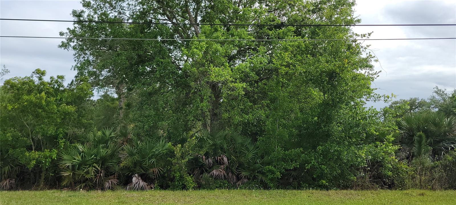Photo of RALSTON STREET ORLANDO FL 32833