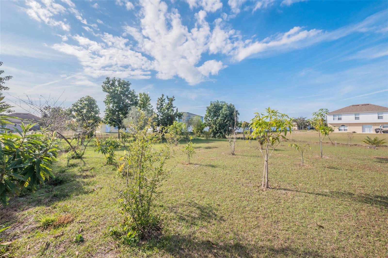 Photo of AURELIA CT KISSIMMEE FL 34758