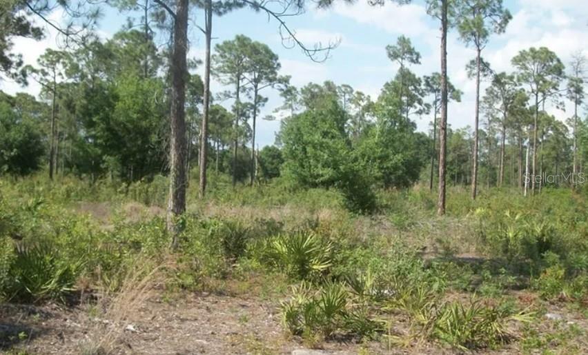 Photo of 1055 UNION AVENUE CLEWISTON FL 33440