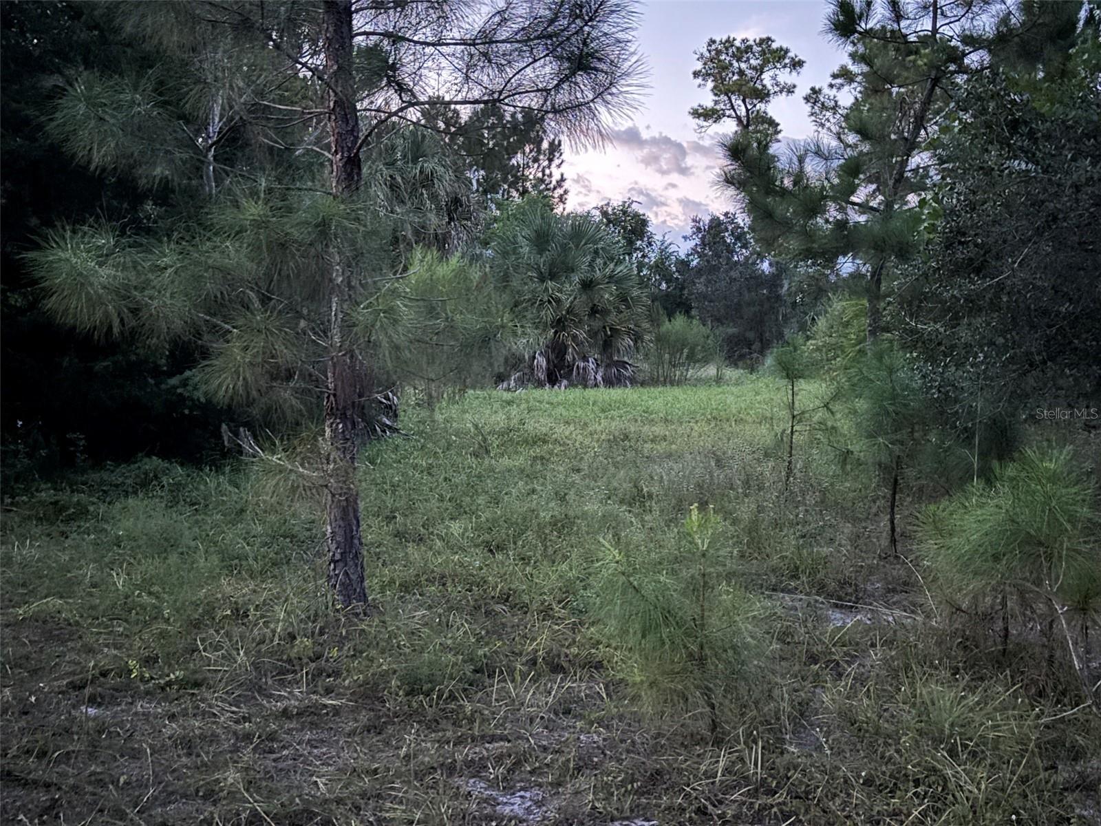 Photo of 30735-30745 DEVON COURT EUSTIS FL 32736