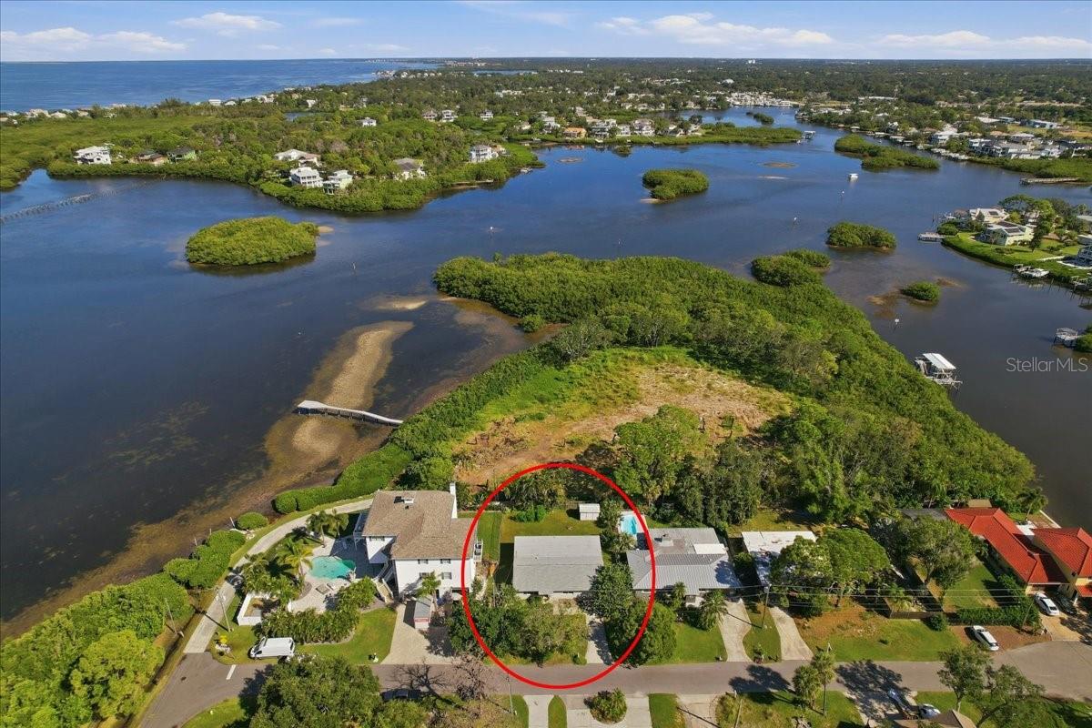 Photo of 402 ORCHID LANE PALM HARBOR FL 34683