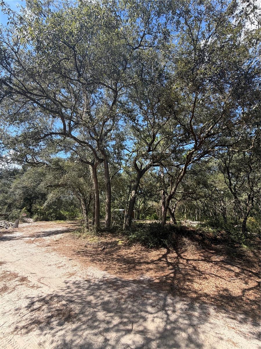 Photo of TBD NE 192ND PLACE FORT MC COY FL 32134