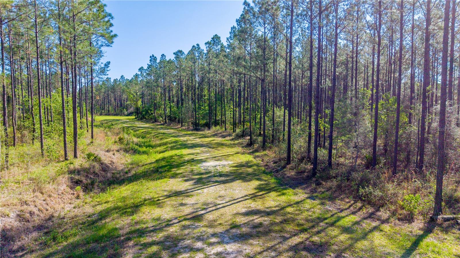 Photo of NW 57TH LANE STARKE FL 32091