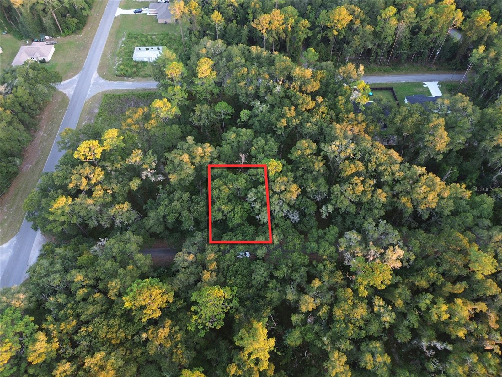Photo of TBD SEQUOIA LOOP TRACK OCKLAWAHA FL 32179