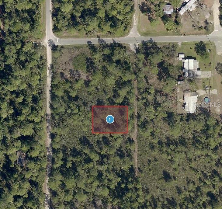 Photo of VIRGINIA STREET PAISLEY FL 32767