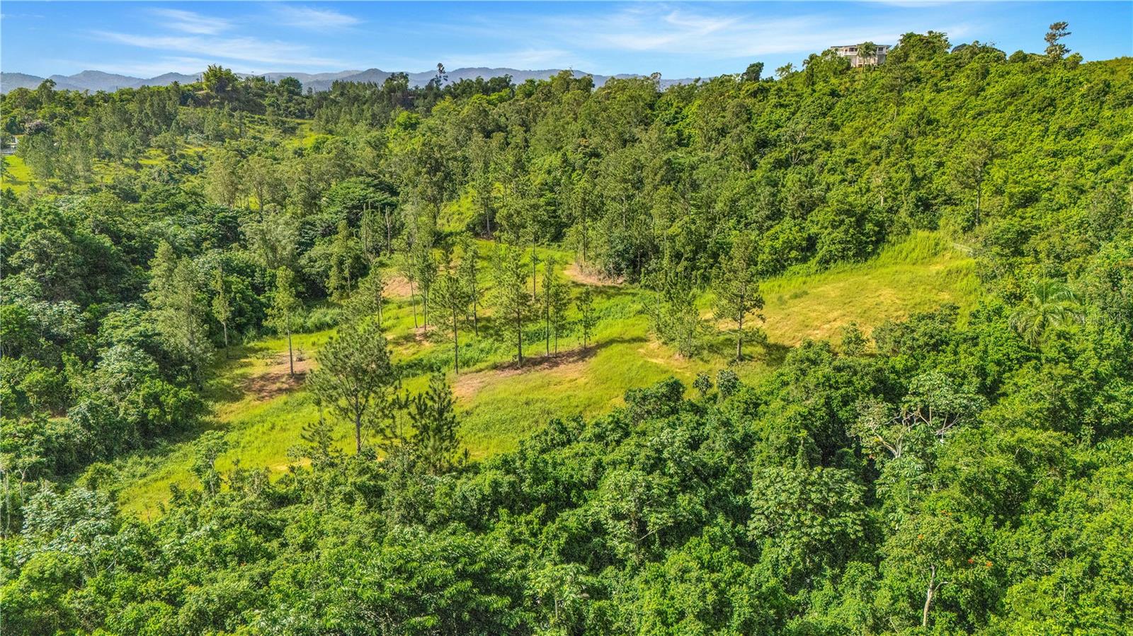 Photo of 63 SECTOR MONTICELLO CIDRA PR 00739