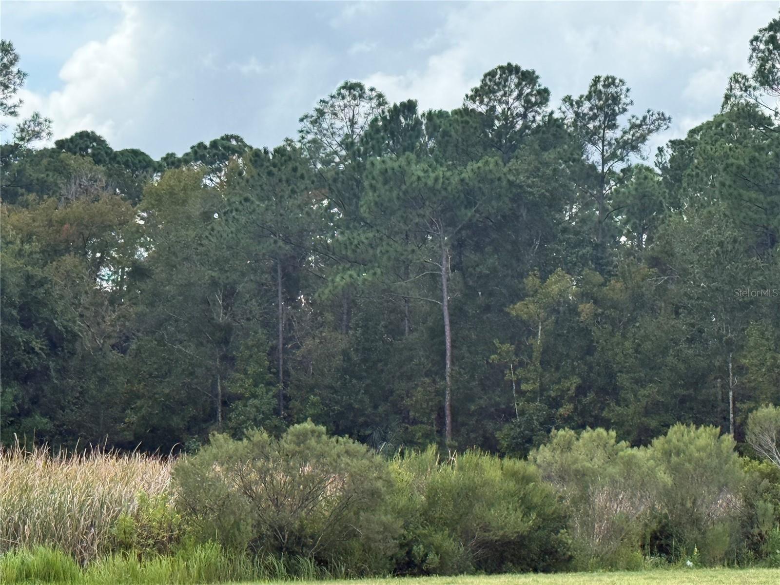 Photo of 10855 W HOMOSASSA TRAIL HOMOSASSA FL 34448