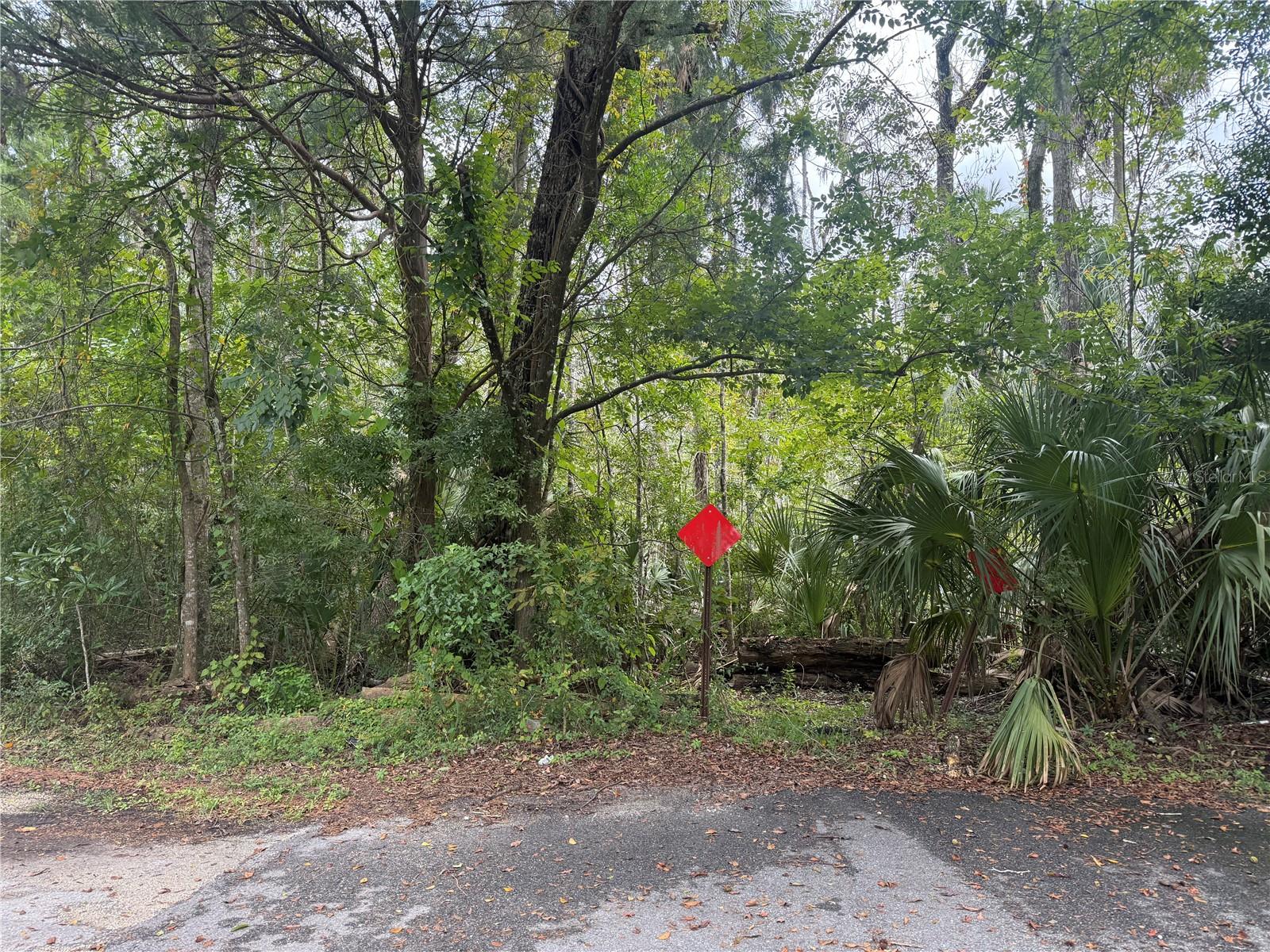 Photo of 10103 W MAIN STREET HOMOSASSA FL 34448