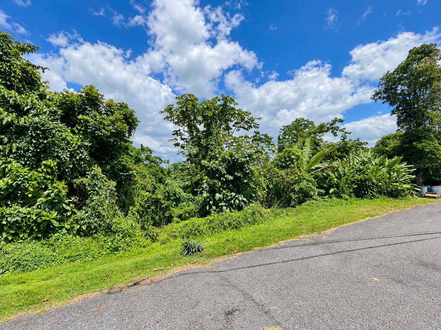 Photo of CARR. 119 LAS MARIAS PR 00670