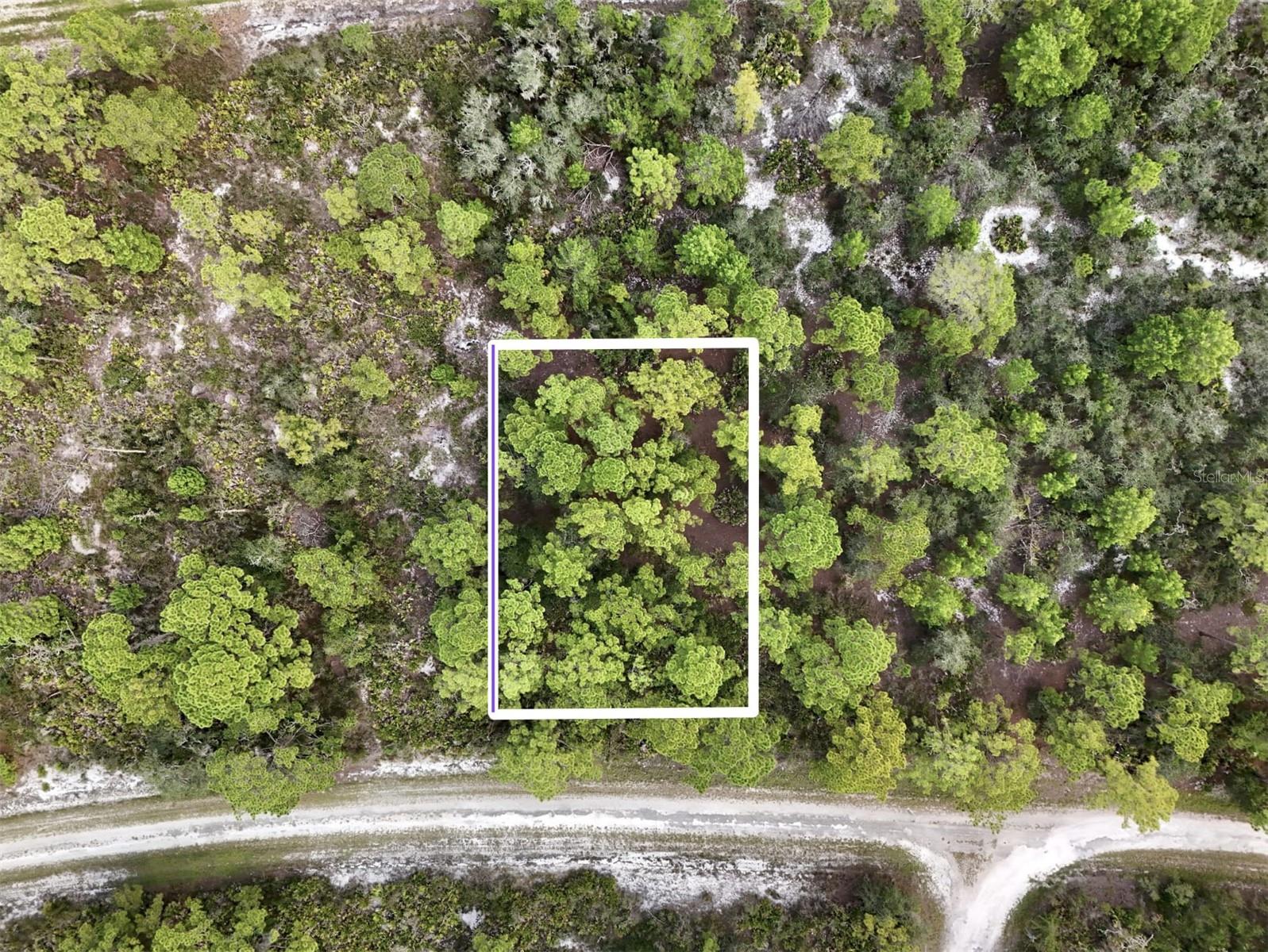 Photo of 1137 REDBIRD STREET LAKE PLACID FL 33852