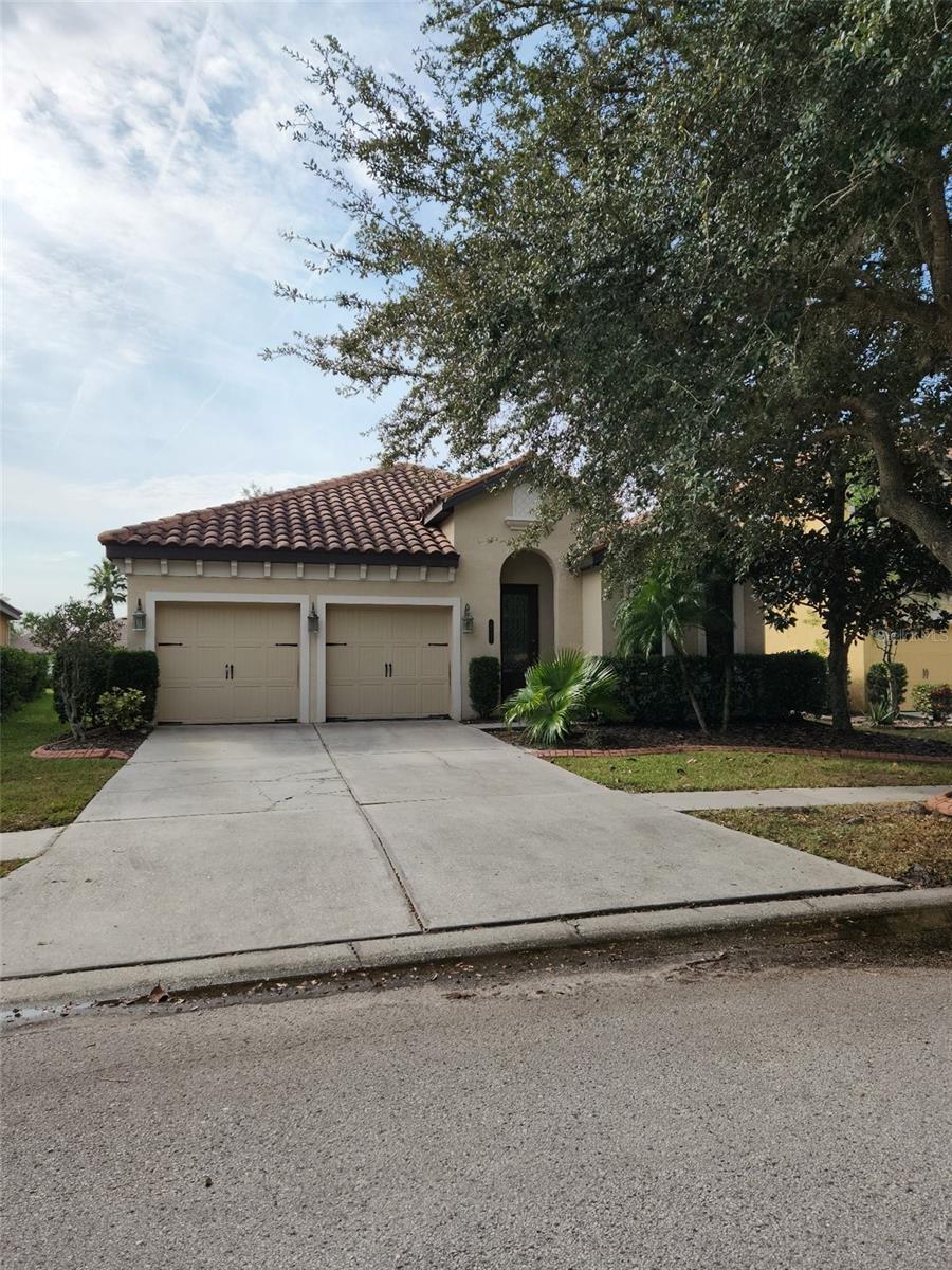 Photo of 20311 CHESTNUT GROVE DRIVE TAMPA FL 33647