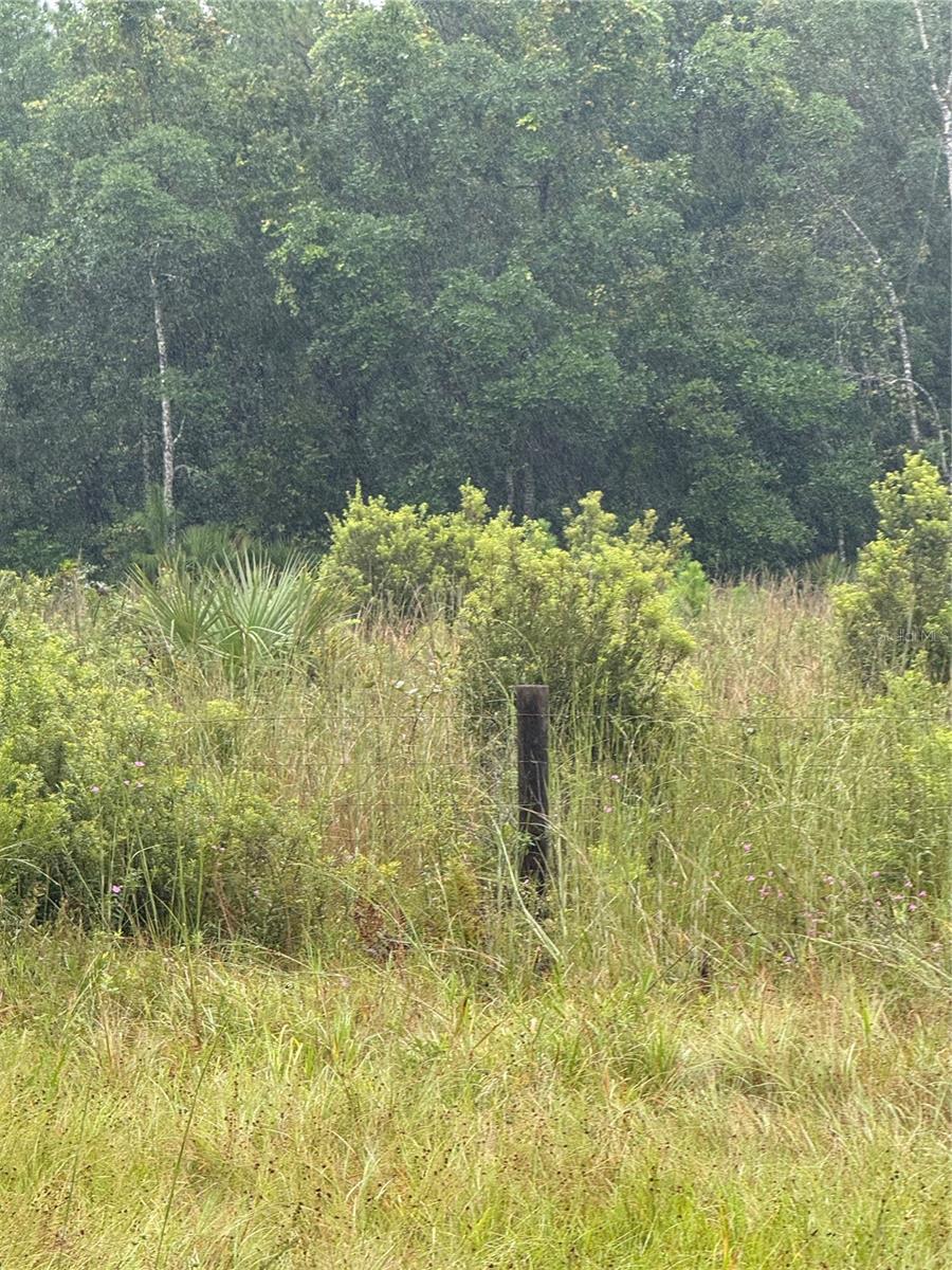 Photo of 765 N US HIGHWAY 17 PIERSON FL 32180