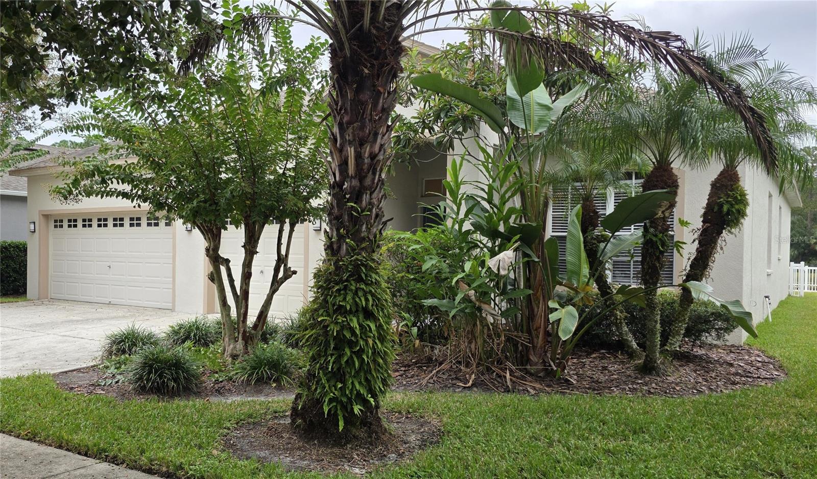 Photo of 19205 MEADOW PINE DRIVE TAMPA FL 33647