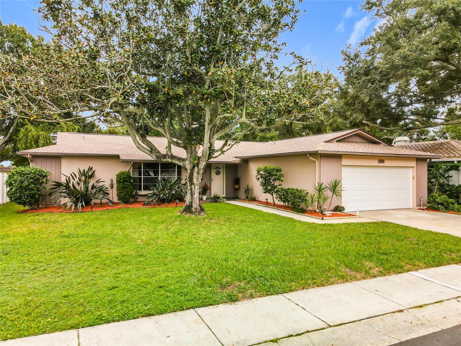 Photo of 10617 SEMINOLE FOREST STREET SEMINOLE FL 33778