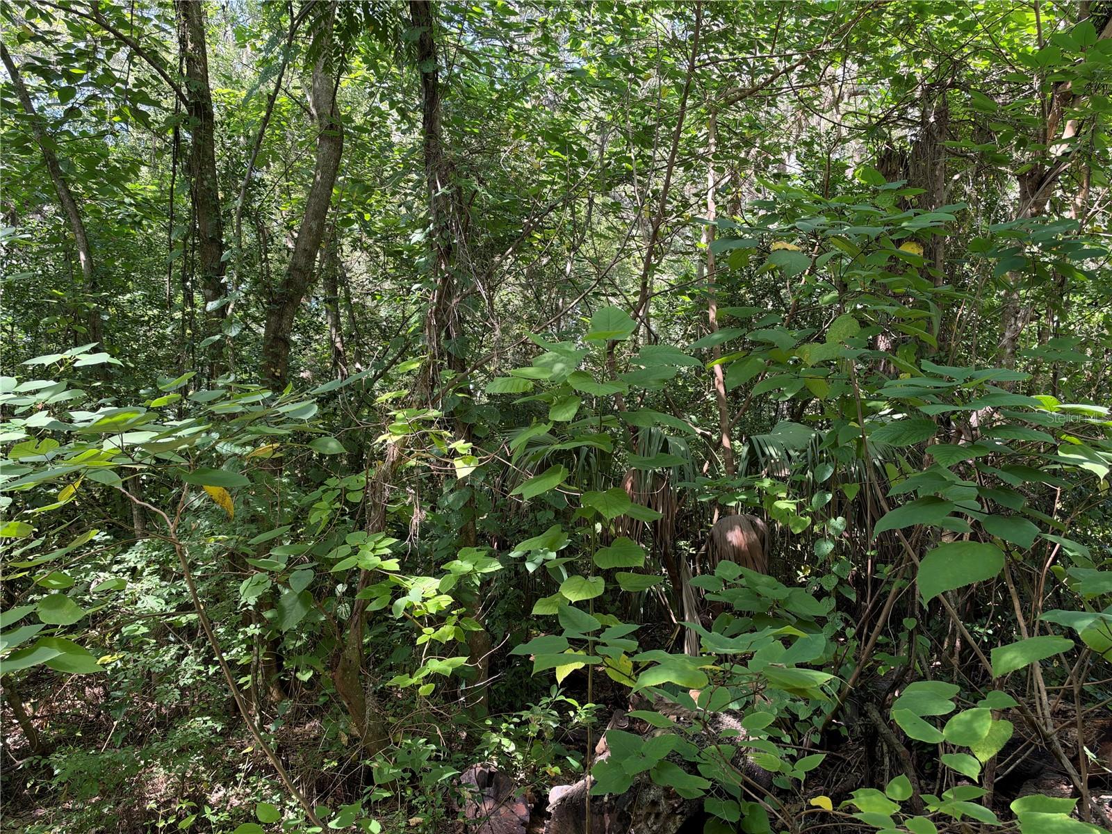 Photo of 0 SE  118TH PLACE #105 BELLEVIEW FL 34420