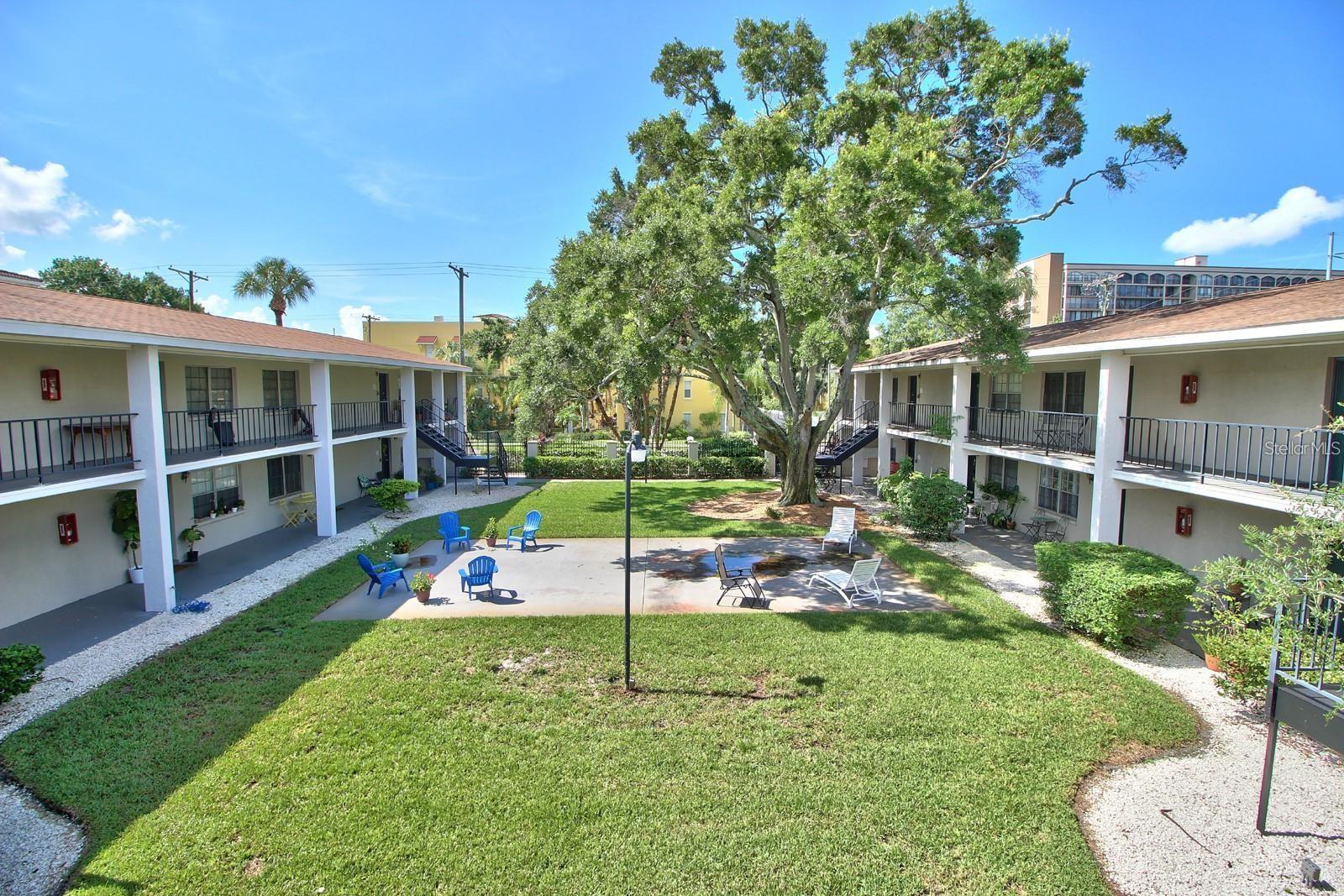 Photo of 3119 W DE LEON STREET #11 TAMPA FL 33609