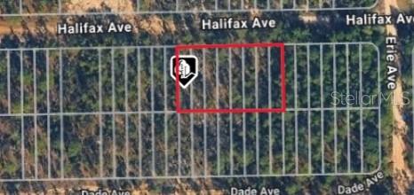 Photo of HALIFAX AVE INTERLACHEN FL 32148